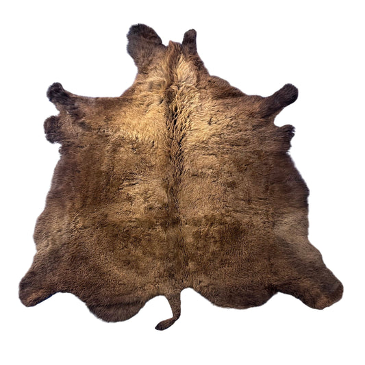 Bison Skin Rug (little tail) Size: 7.5x6.5 feet BISON # 17