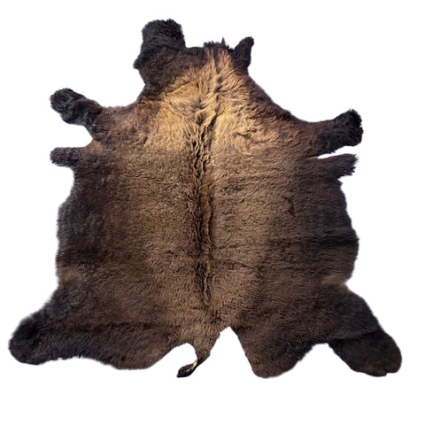Bison Skin Rug (little tail) Size: 8x7 feet BISON # 18