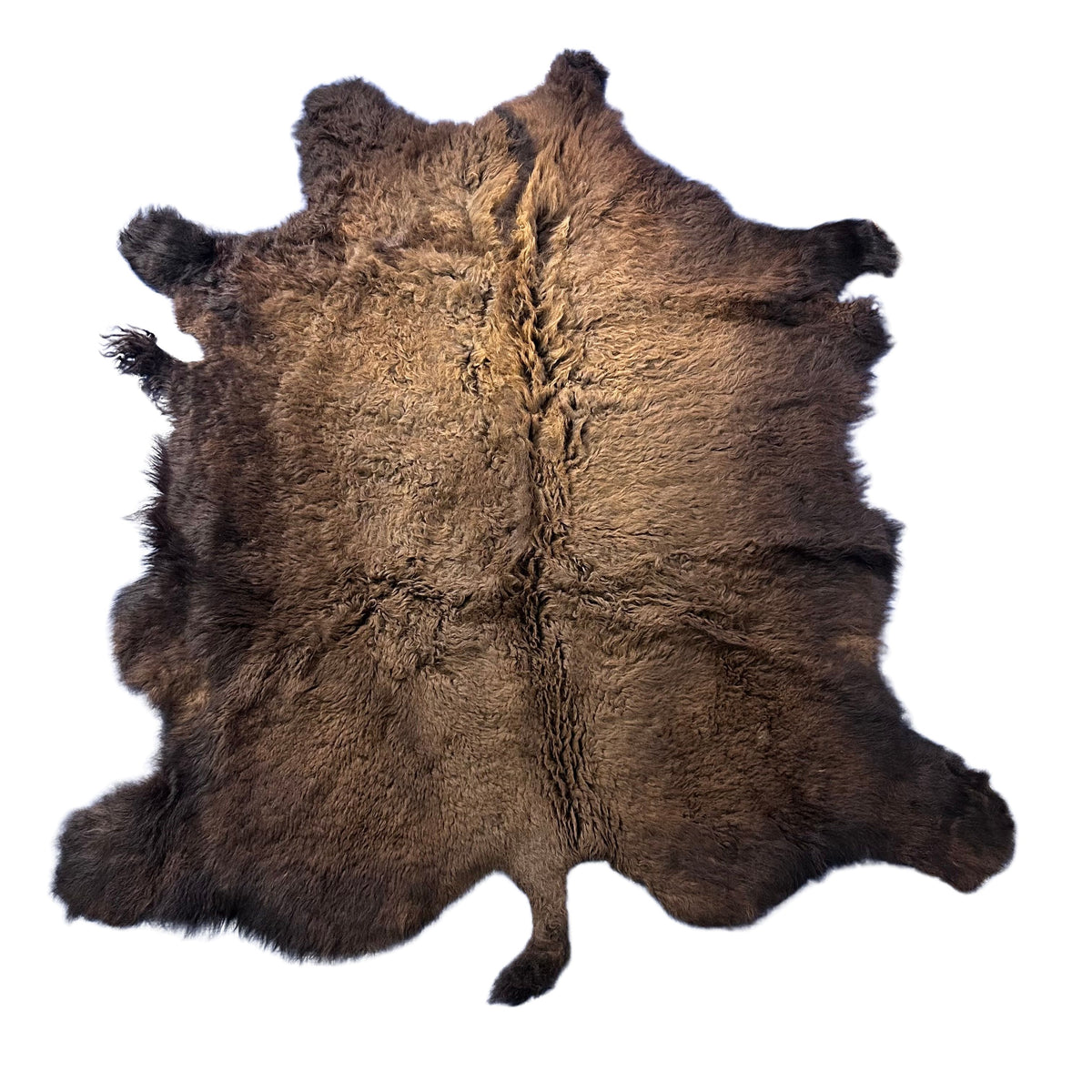 Beautiful Bison Skin (nice tail/lush fur) Size: 8x7 feet Bison # 19