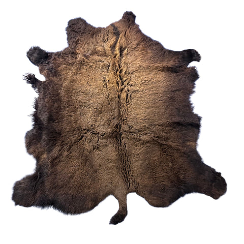 Beautiful Bison Skin (nice tail/lush fur) Size: 8x7 feet Bison # 19