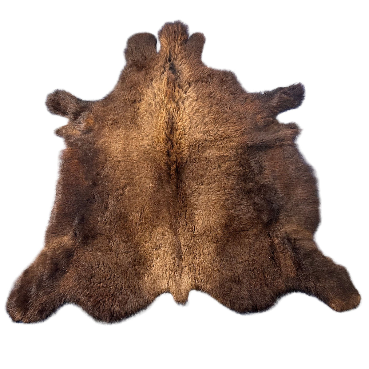 Bison Skin Rug (super nice longish hair) Size: 7.2x6.5 feet LOT # 6