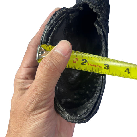 Black Wildebeest Horns 2 Antelope Horns - Real Horn Antler Arts and Crafts - Real Antler, Real Horn, Animal Horn, Deer Horn Average Size 9"