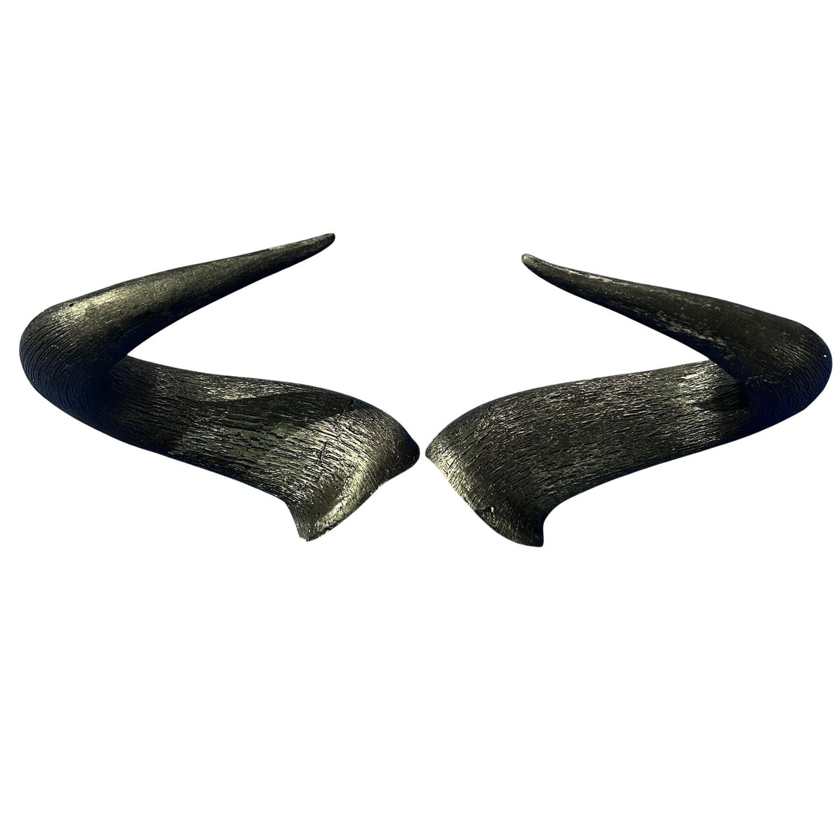 Wildebeest Horns 2 Antelope Horns - Real Horn Antler Arts and Crafts - Real Antler, Real Horn, Animal Horn, Deer Horn Average Size 10"