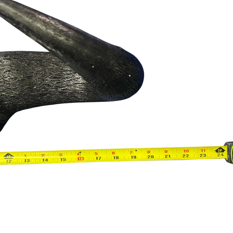 Wildebeest Horns 2 Antelope Horns - Real Horn Antler Arts and Crafts - Real Antler, Real Horn, Animal Horn, Deer Horn Average Size 10"