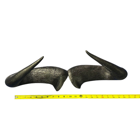 Wildebeest Horns 2 Antelope Horns - Real Horn Antler Arts and Crafts - Real Antler, Real Horn, Animal Horn, Deer Horn Average Size 10"