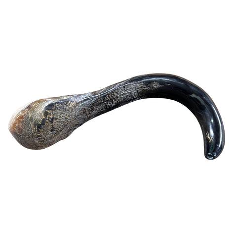 Cape Buffalo Yemenite Shofar - Genuine Cape buffalo Horn - Around 23" long - Judaica Trumpet Kosher-made African Buffalo horn shofar