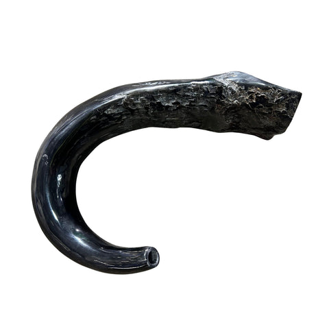 Cape Buffalo Yemenite Shofar - Genuine Cape buffalo Horn - Around 23" long - Judaica Trumpet Kosher-made African Buffalo horn shofar