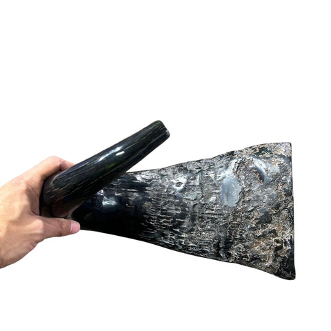 Cape Buffalo Yemenite Shofar - Genuine Cape buffalo Horn - Around 23" long - Judaica Trumpet Kosher-made African Buffalo horn shofar