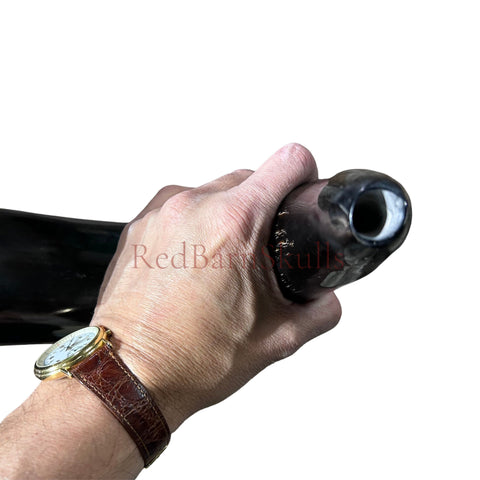 1 Cape Buffalo Shofar Kosher-Made Horn Shofar, Yemenite Judaica Shofar Medium