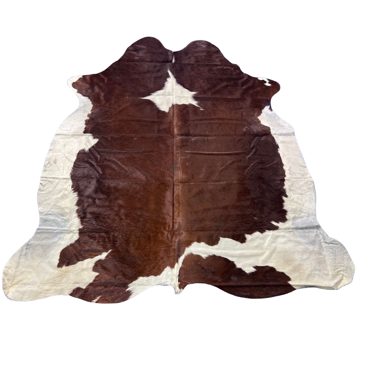 Hereford Cowhide Rug (32.75 sq ft) Size: 6x6.2 feet Colombia-14