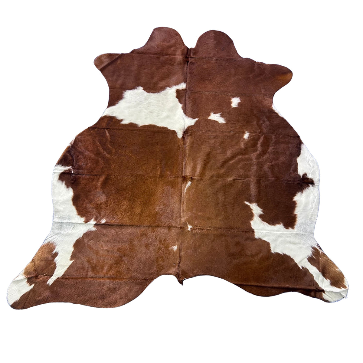 Hereford Cowhide Rug (34 sqft) Size: 7x6.5 feet Colombia-16