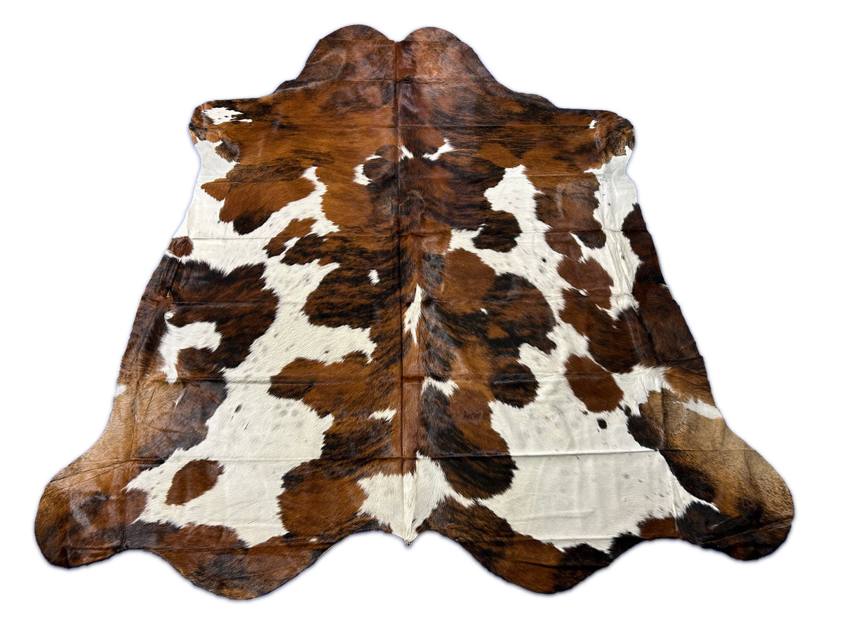 Beautiful Tricolor Cowhide Rug Size: 8x7 feet D-234