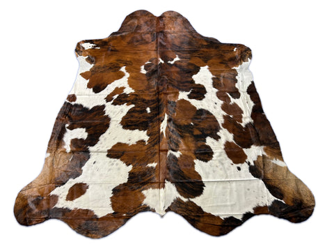 Beautiful Tricolor Cowhide Rug Size: 8x7 feet D-234