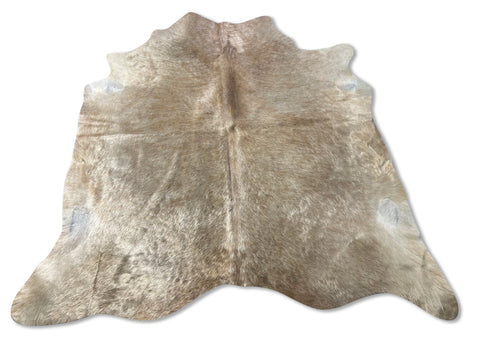 Beautiful Palomino Cowhide Rug (shiny hair) Size: 6.7x6.5 feet D-357