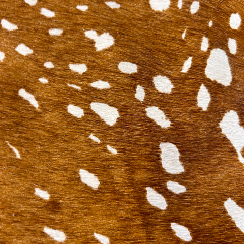 Light Axis Deer Print Cowhide Rug Size: 7x6 feet D-450