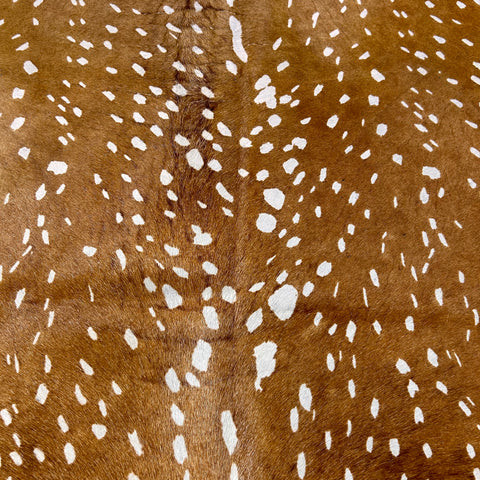 Light Axis Deer Print Cowhide Rug Size: 7x6 feet D-450