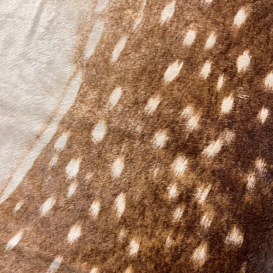 Chital Cowhide Rug Size: 8x7 feet D-452