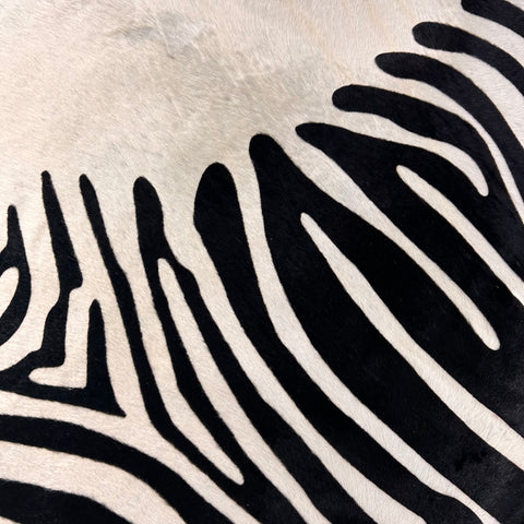 African Zebra Print Cowhide Rug Size: 7x6 feet D-453