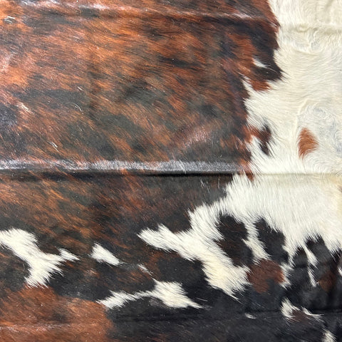 Tricolor Cowhide Rug Size: 7x7 feet D-484