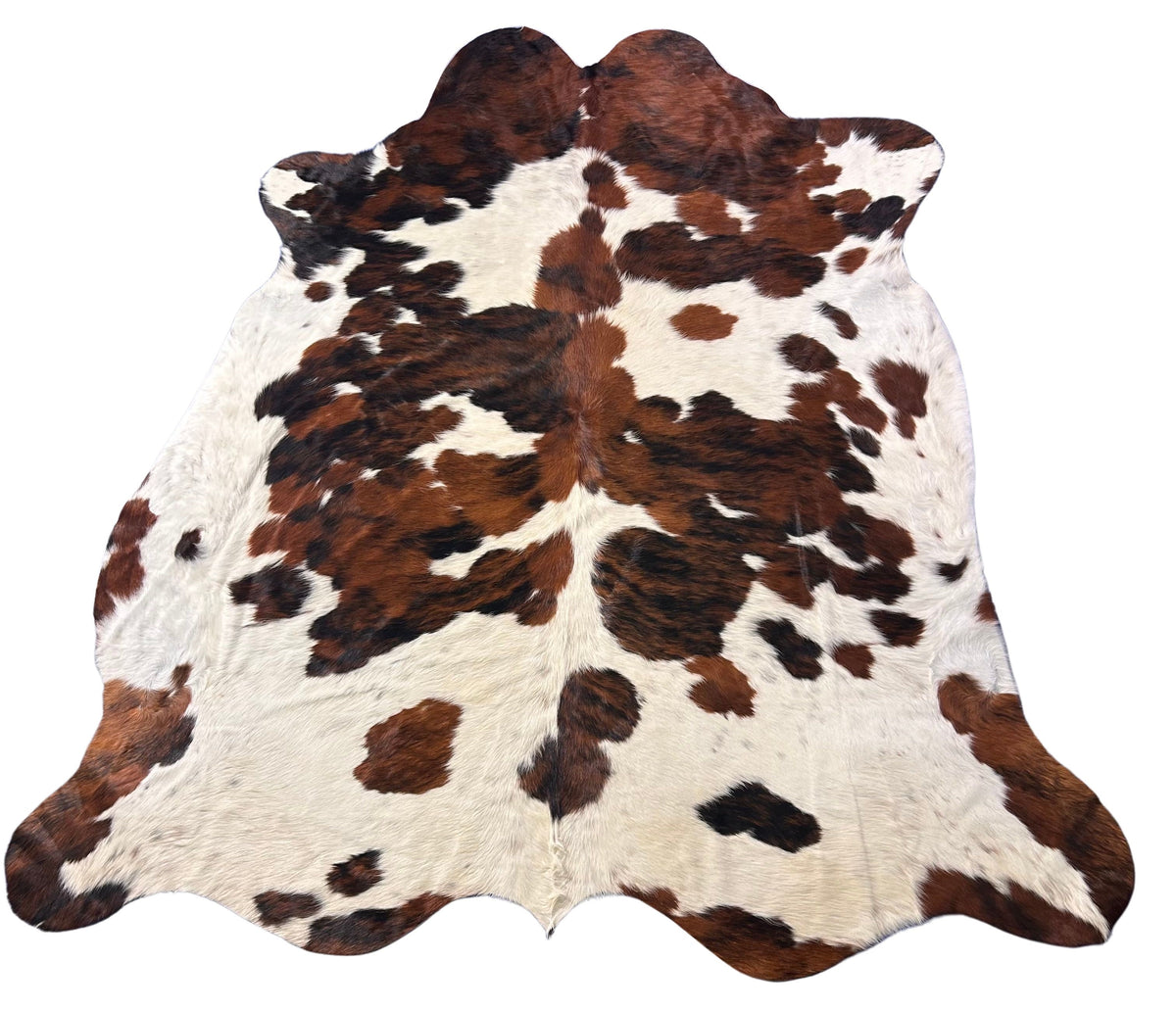 Tricolor Cowhide Rug Size: 7.2x7 feet D-525