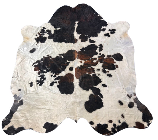 Tricolor Cowhide Rug (Huge! Has some bald spots and 1 stitch) Size: 8x7 feet D-526