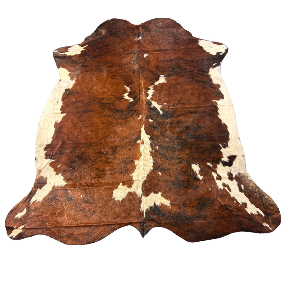 Tricolor Cowhide Rug Size: 7x6 feet D-565