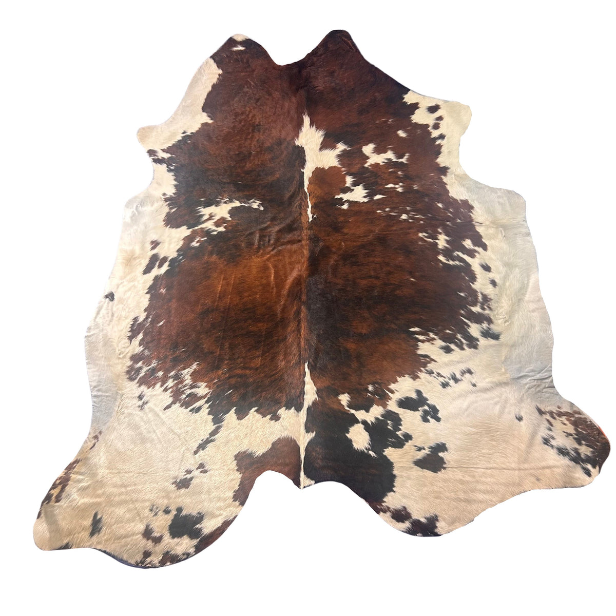 Huge Tricolor Cowhide Rug Size: 9x7 feet D-589 (giant size)