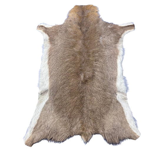 Mountain Reedbuck Skin Size: 35x28" D-795