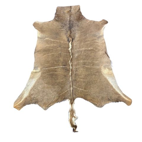 Kudu Skin Rug, Real Kudu Antelope Hide Size 66X59" D-965