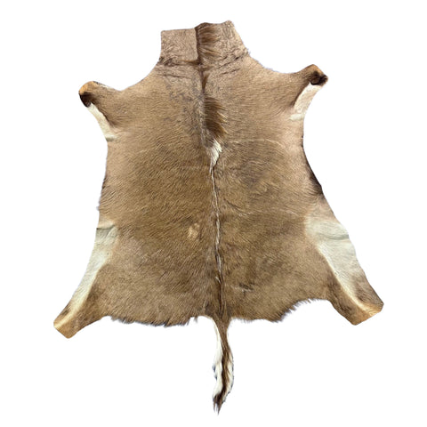 Kudu Skin - Deer Leather Rug -Deer skin for pillows, wallets, hand bags, deer floor rug - Real Kudu Hide - Greater Kudu Antelope Skin D-990