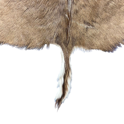 Kudu Skin - Deer Leather Rug -Deer skin for pillows, wallets, hand bags, deer floor rug - Real Kudu Hide - Greater Kudu Antelope Skin D-990