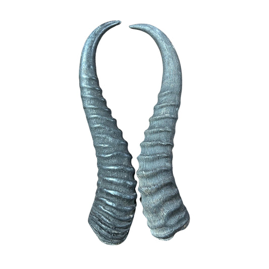 2 Natural Springbok Horn Set (left and right horn) Size: 8 to 11 inches long