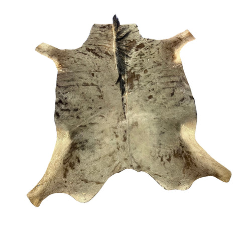 Blue Wildebeest Skin (holes and a bit stiff/No Tail) Size: 59x56 inch F-005