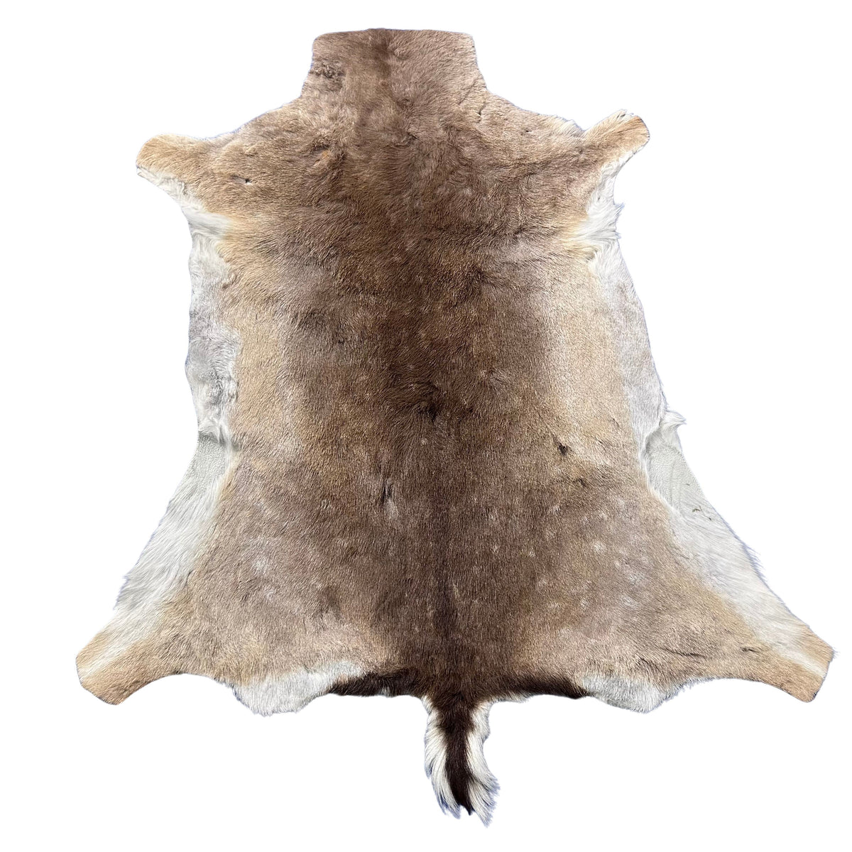 Fallow Deer Skin Size: 45x40" F-006