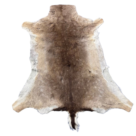 Fallow Deer Skin Size: 45x40" F-006