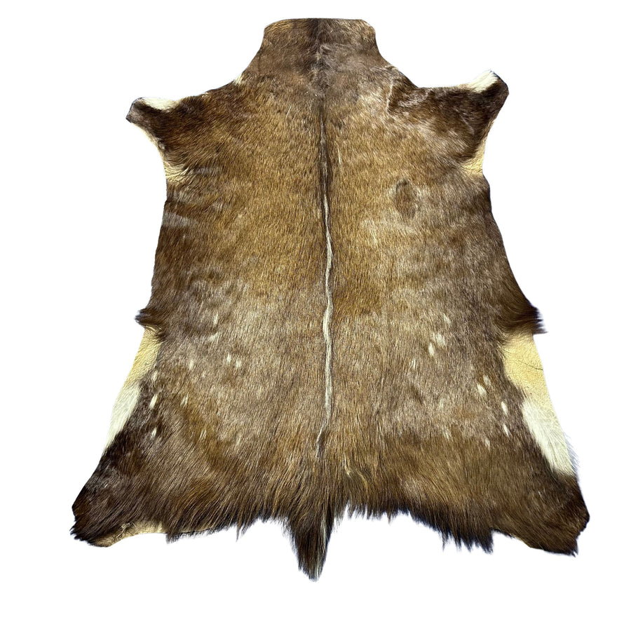 Bushbuck Skin Size: 45x35" F-007