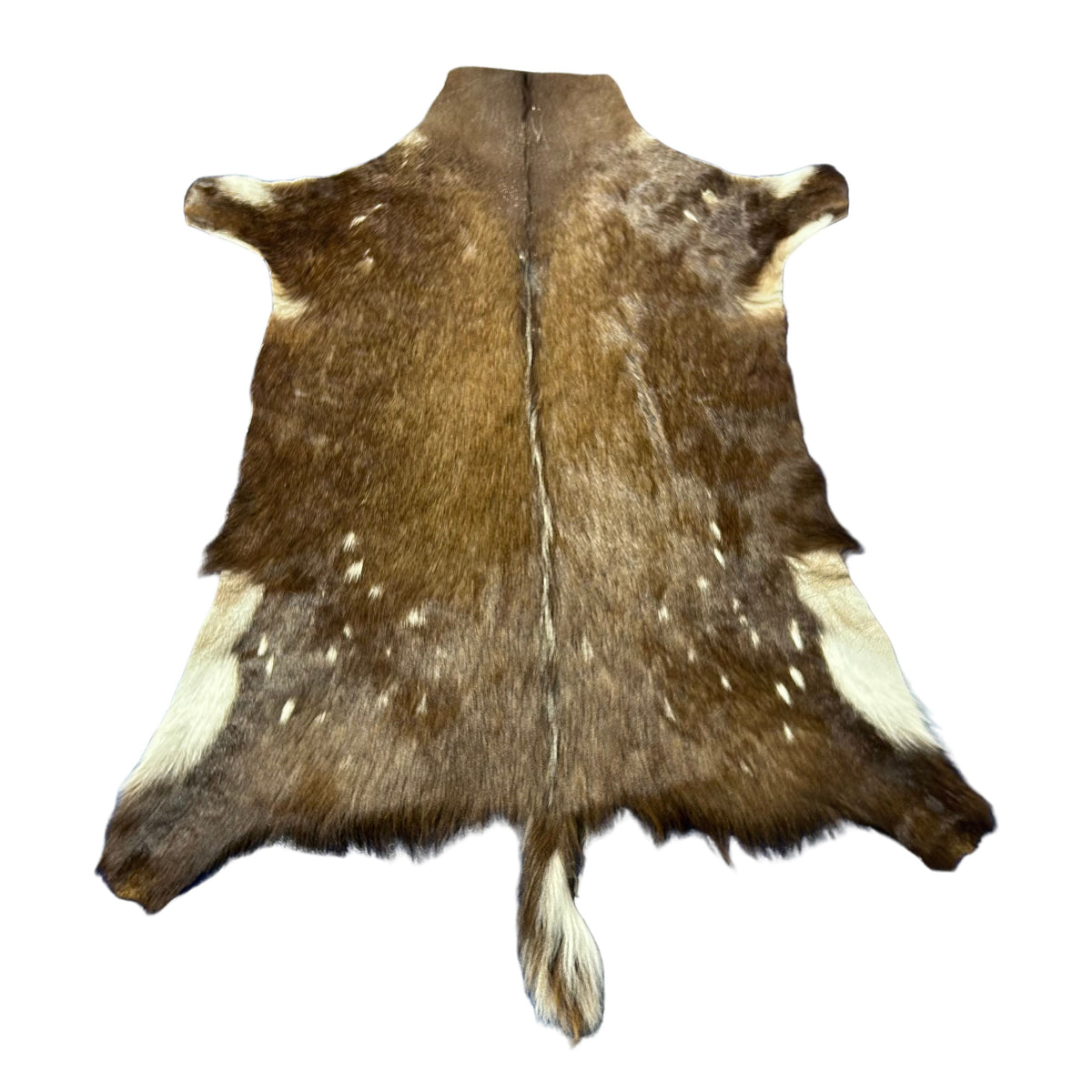 Bushbuck Skin Size: 43x39" F-008