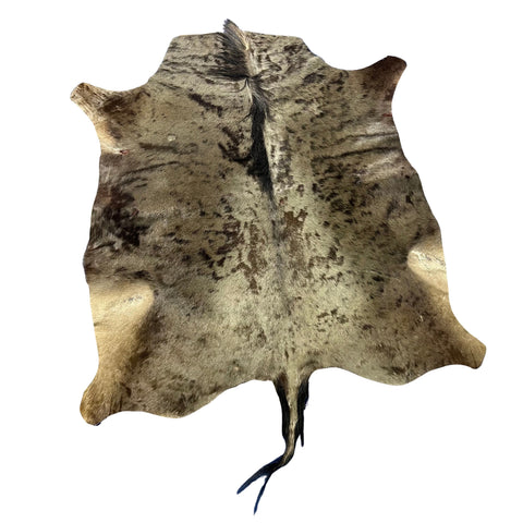 Blue Wildebeest Skin (Tail is 14") Size: 60x54" F-013