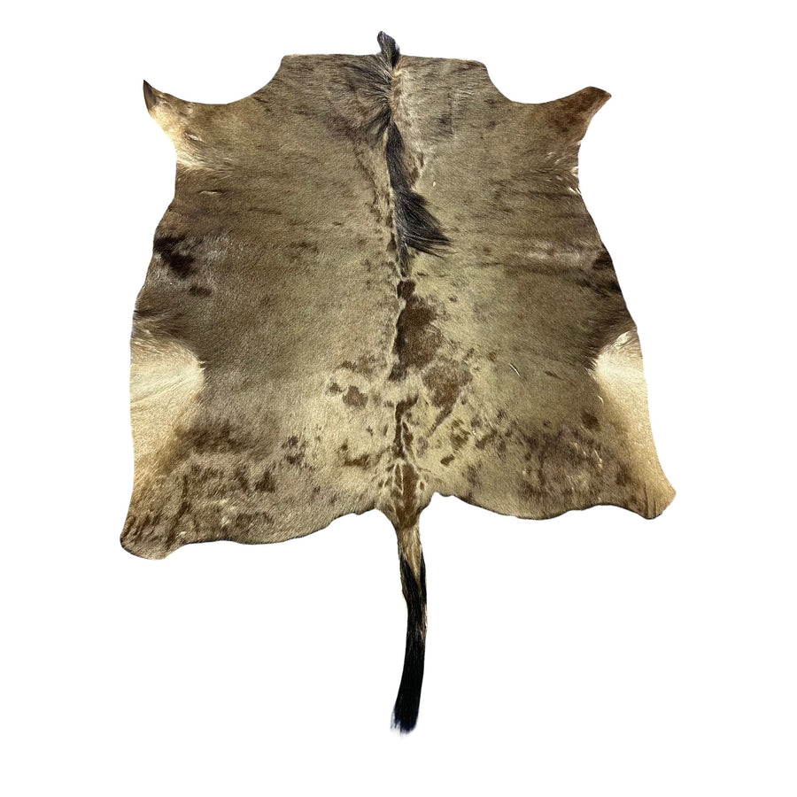 Blue Wildebeest Skin (Tail is 17") Size: 53x52" F-015