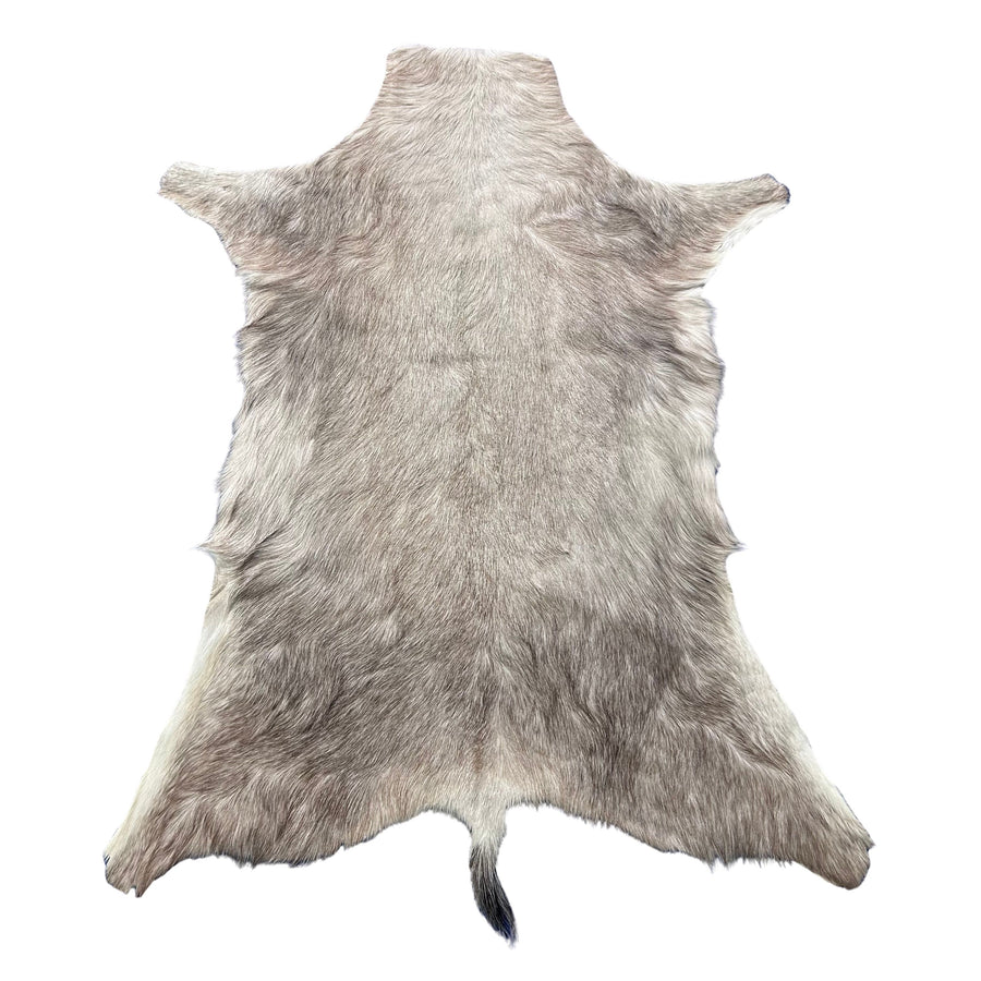 White Blesbok Skin Size: 42x34" F-016