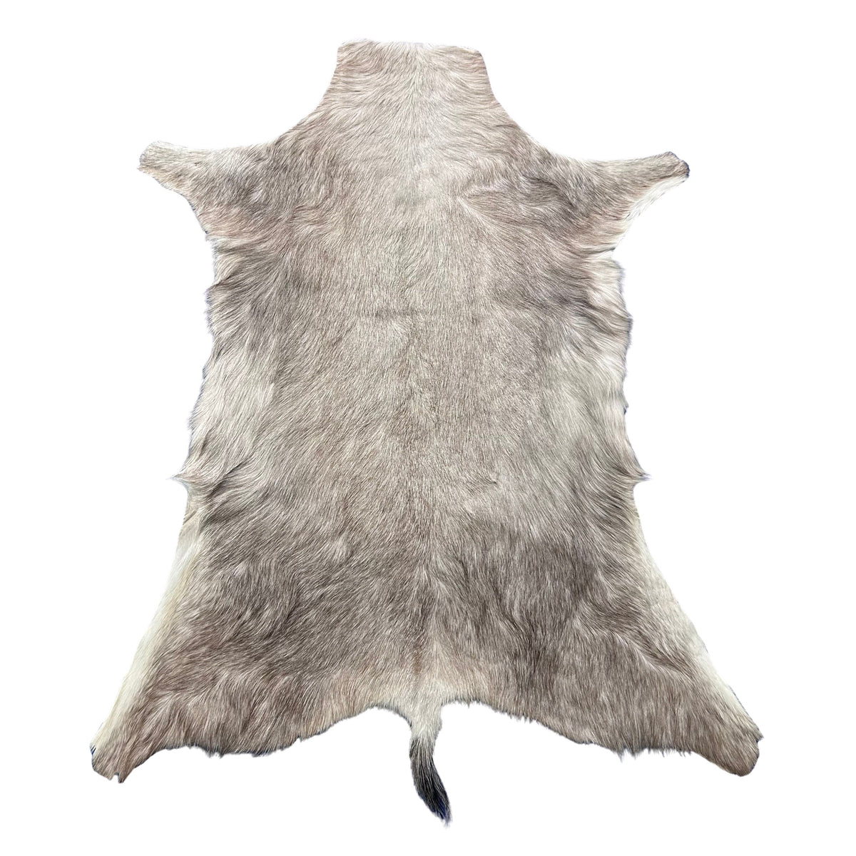White Blesbok Skin Size: 42x34" F-016