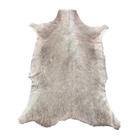 White Blesbok Skin Size: 44x29" F-018