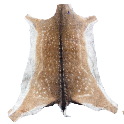 Fallow Deer Skin # D-980 (size 43X38") Real Chital Deer Skin - Leather for upholstery, Deer skin for wallets, hand bags, deer rug