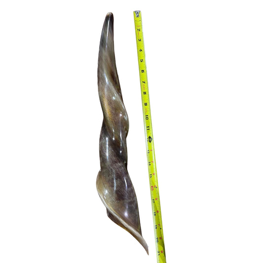 Eland Yemenite Shofar - Genuine Antelope Horn - Around 21" long - Judaica Trumpet Kosher-made Eland antelope horn shofar Eland Horn Trumpet