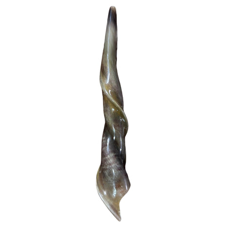 Eland Yemenite Shofar - Genuine Antelope Horn - Around 21" long - Judaica Trumpet Kosher-made Eland antelope horn shofar Eland Horn Trumpet
