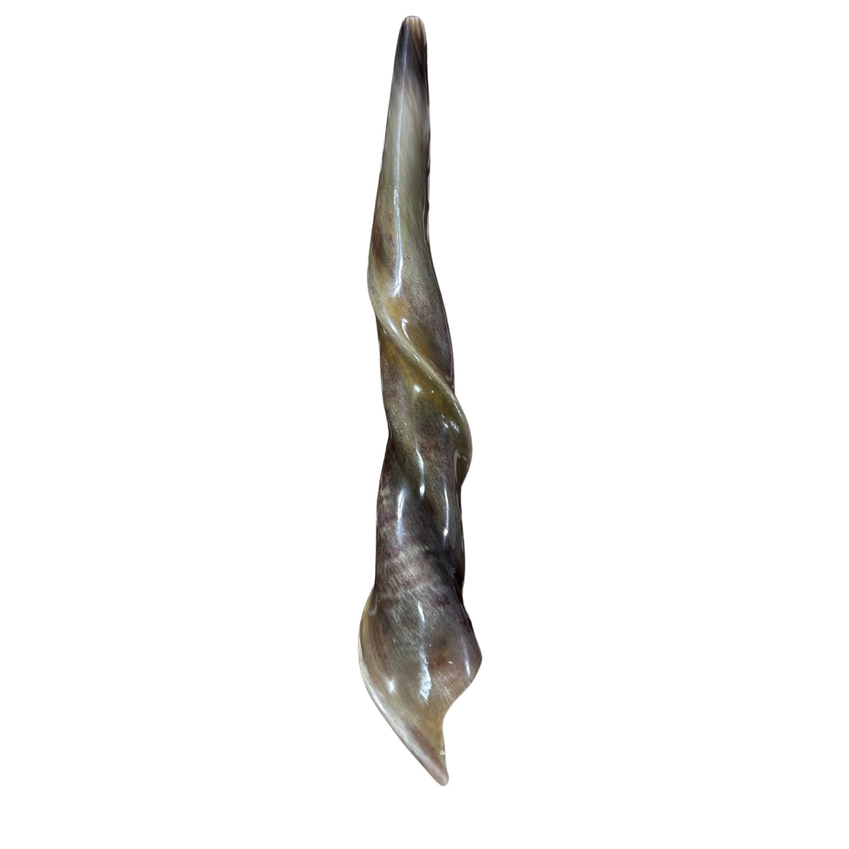 Eland Yemenite Shofar - Genuine Antelope Horn - Around 21" long - Judaica Trumpet Kosher-made Eland antelope horn shofar Eland Horn Trumpet