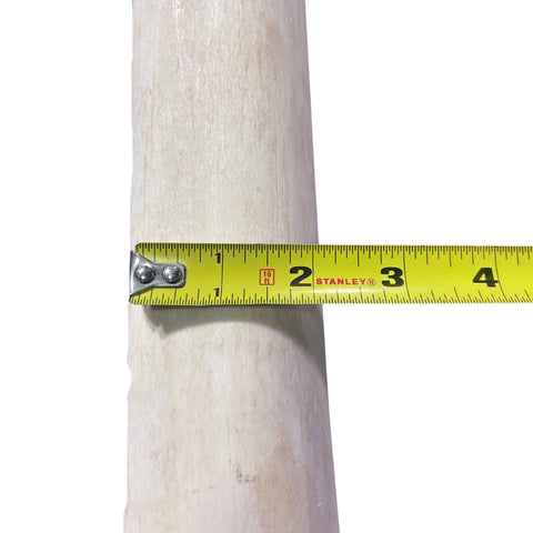 Real Giraffe Leg Bone About 28" long - Natural Giraffe Leg Bone
