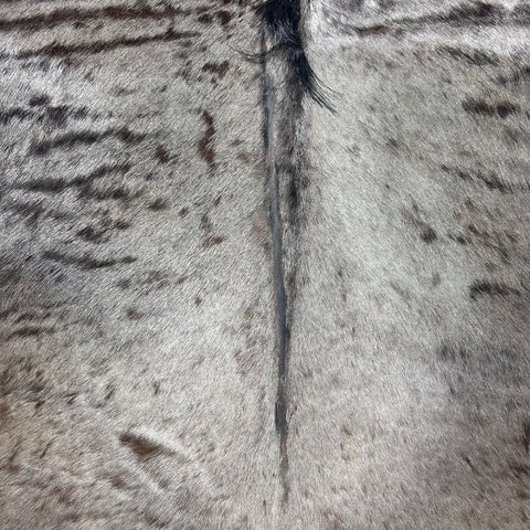 Blue Wildebeest Hide (29"tail) Stiff! Bald Line Down the Middle Size: 5x4 ft D-988