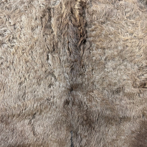 Bison Skin (huge, winter coat, beautiful and huge skin) Size: 8x7 feet LOT # 9