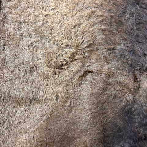 Bison Skin (huge, winter coat, beautiful and huge skin) Size: 8x7 feet LOT # 9